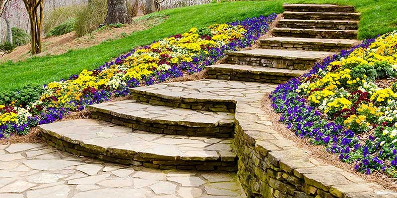 Flowers on Sides of Stone Stairs